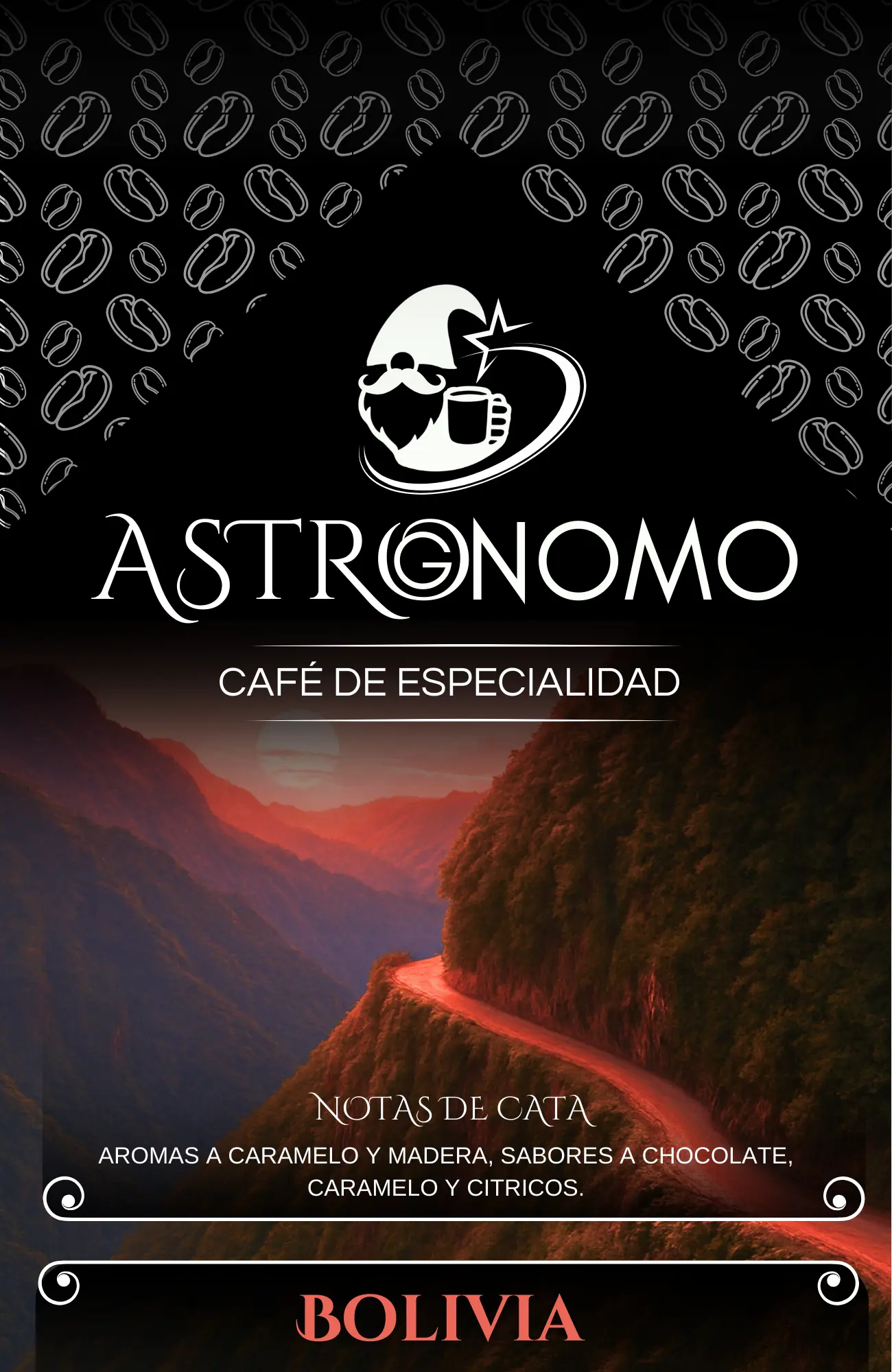 Bolsa de café Astrognomo origen Bolivia